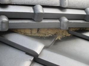 %e7%93%a6%e3%81%97%e3%81%a3%e3%81%8f%e3%81%84%ef%bc%93